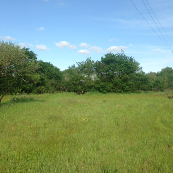 Offres de vente Terrain Bois-de-Céné 85710