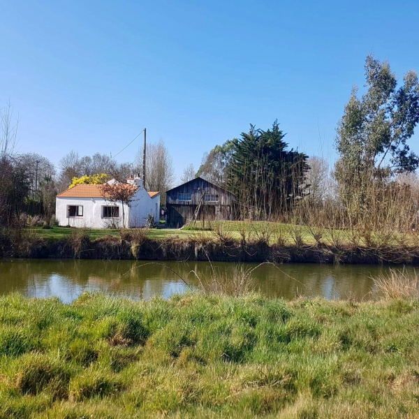 Offres de vente Maison Bois-de-Céné 85710