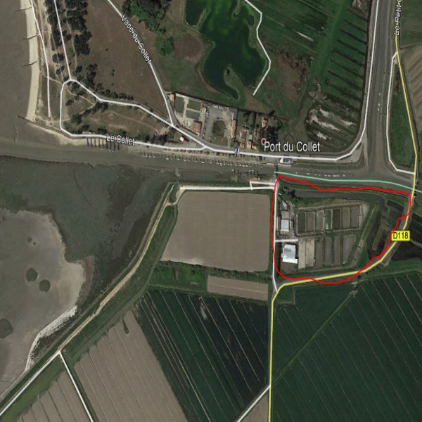 Offres de vente Maison Bouin 85230